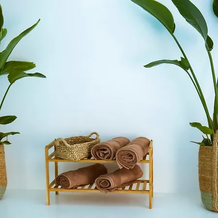 La Casa De Leo ガラチコ